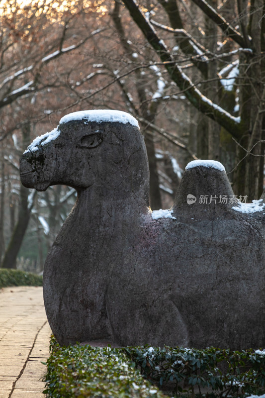 南京明孝陵石象路神道雪景