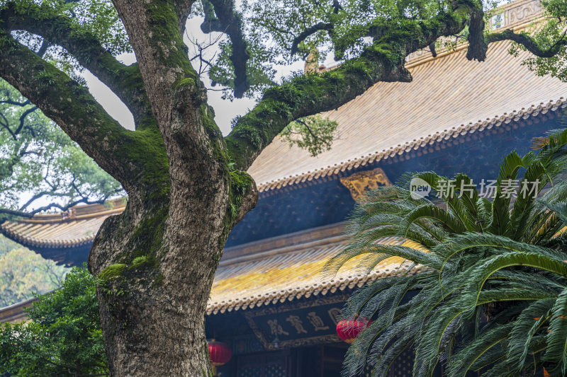 浙江普陀山普济寺禅院建筑