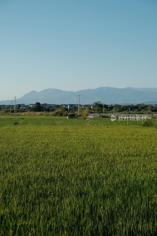 田野风光与远处山峦景致