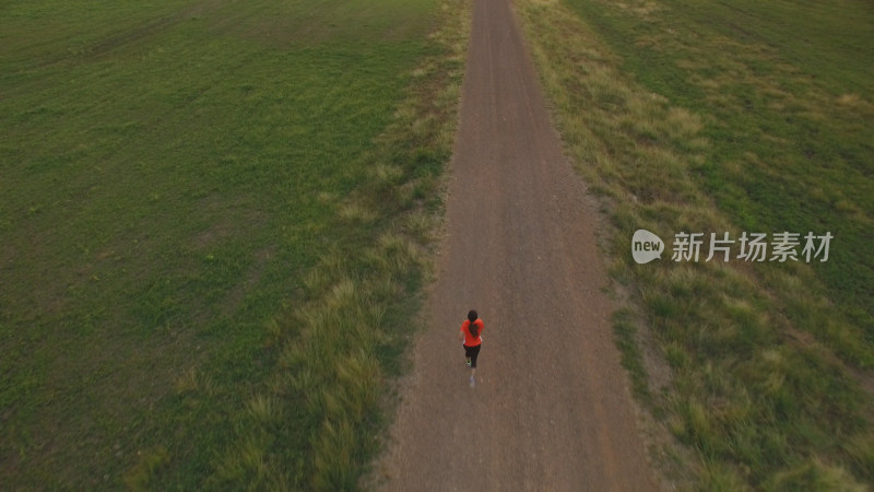 航拍女子在田野小道上跑步