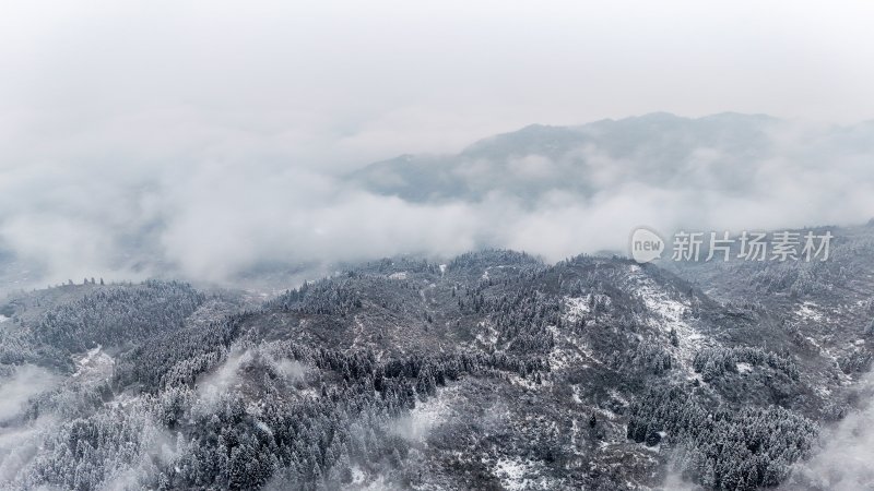 重庆酉阳：大雪纷飞赏雪忙