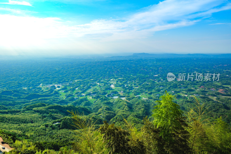 四川宜宾蜀南竹海