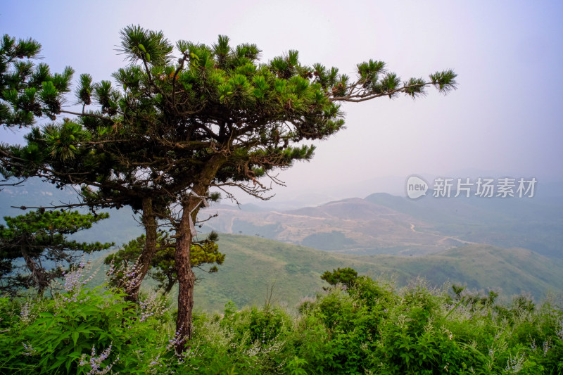 武汉黄陂龙王尖风景