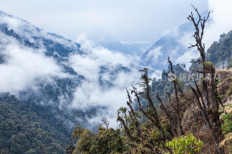 中国西南部山区风光