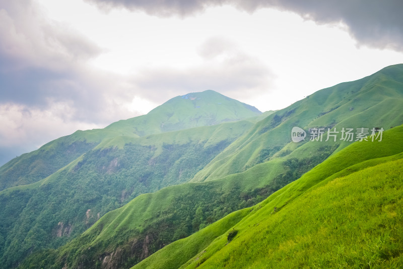 江西武功山高山草甸