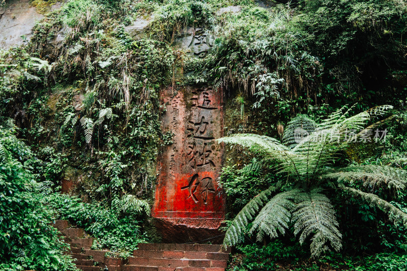 遵义赤水大瀑布景区