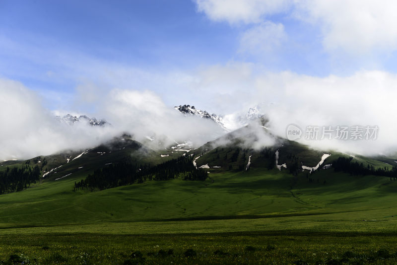 新疆伊犁-那拉提后雪山草原