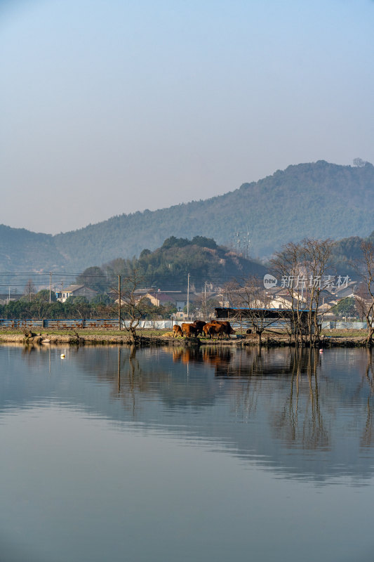 浙江宁波鄞州区冠英村自然山水景观