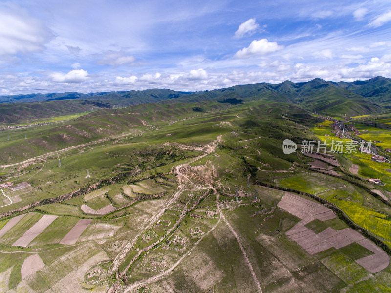 藏地乡村民居油菜花航拍全景图