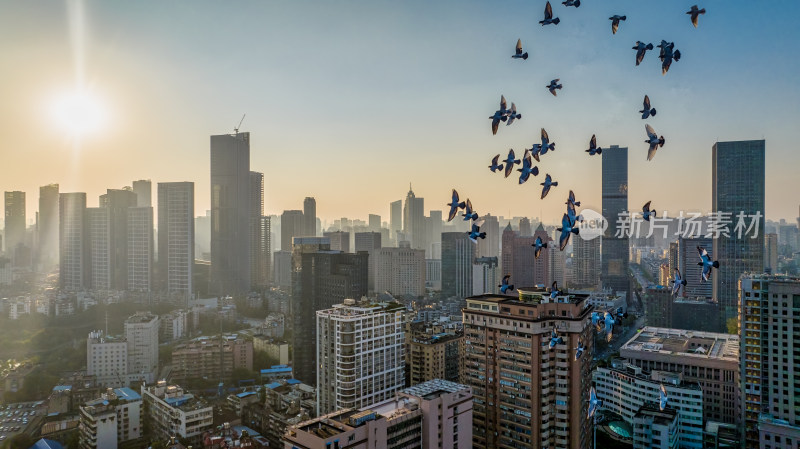 武汉汉口城市高楼与飞行的鸽子