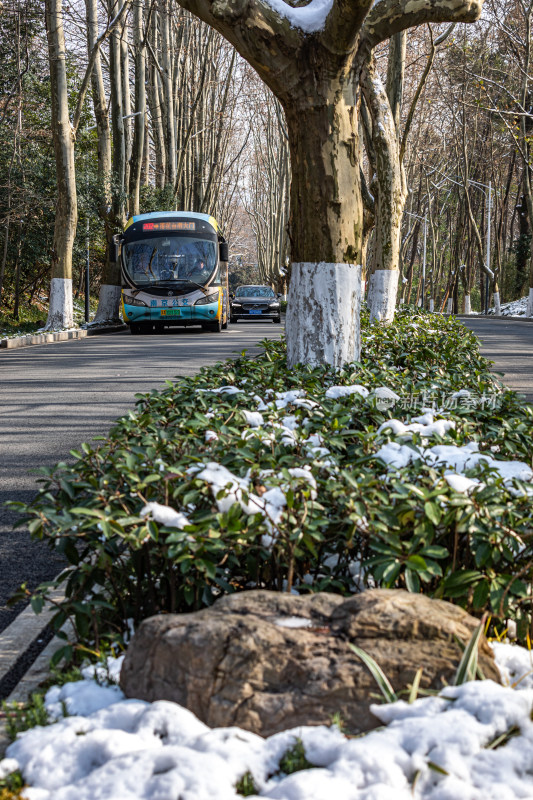 雪后的南京钟山风景区灵谷景区