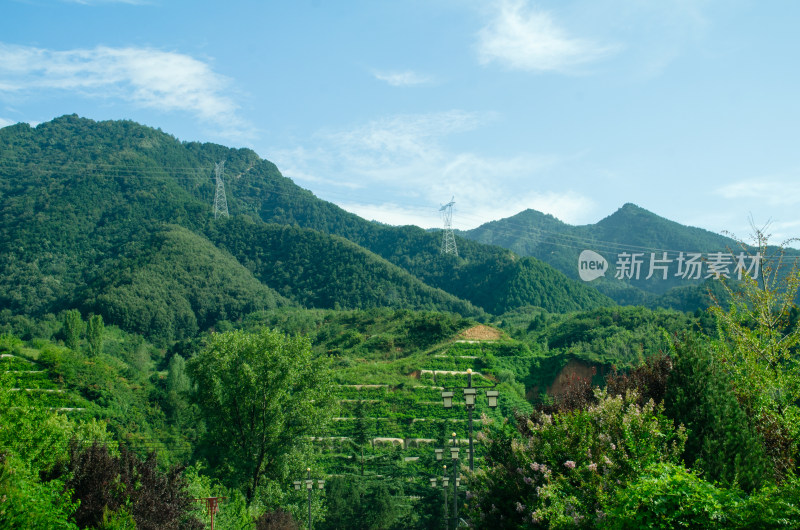 陕西秦岭青山绿植自然风光