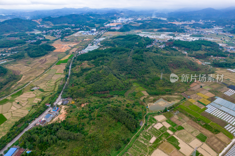 南方乡村田园农业种植农田航拍摄影图