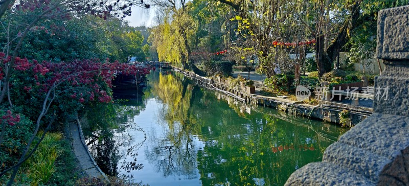 河畔绿植环绕的宁静河道