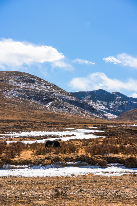 冬季草原雪山河流