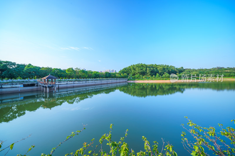 广州番禺金山湖文化公园湖泊树林自然风光