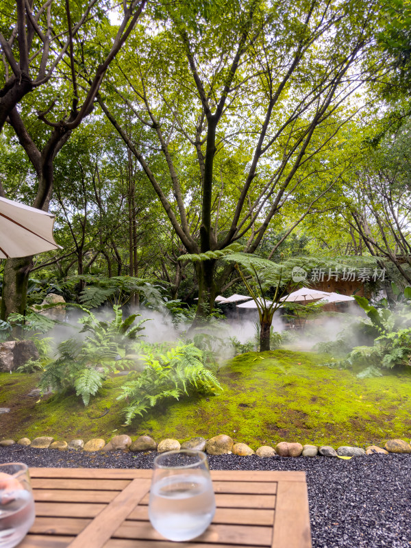 餐厅里的绿色庭院