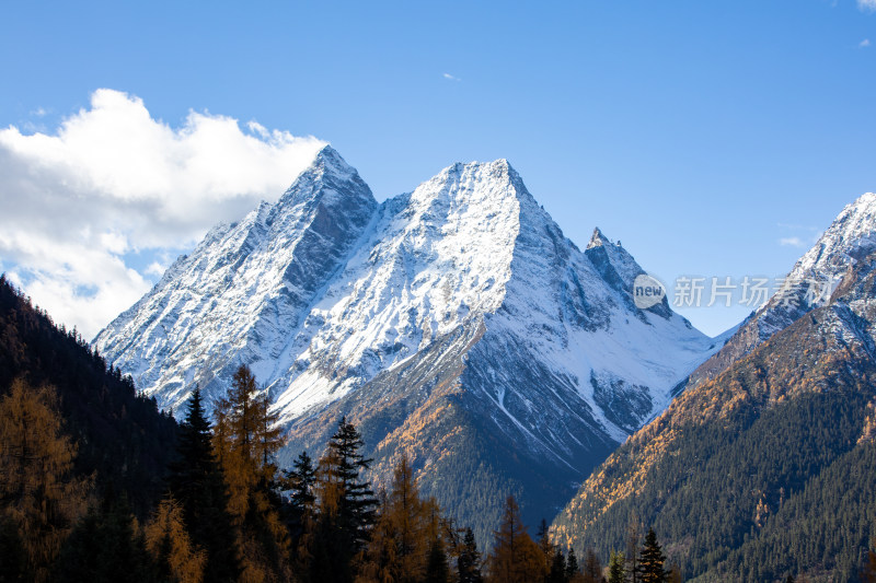 川西四姑娘山双桥沟景区雪山秋色