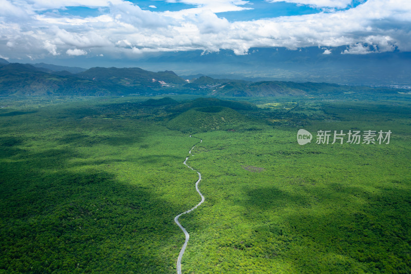 绿意盎然的山林间蜿蜒的道路全景