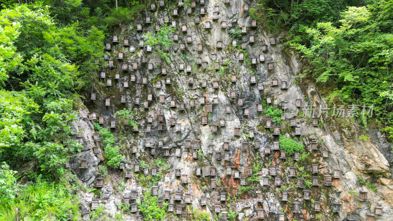 航拍湖北神农架官门山景区悬崖蜂箱