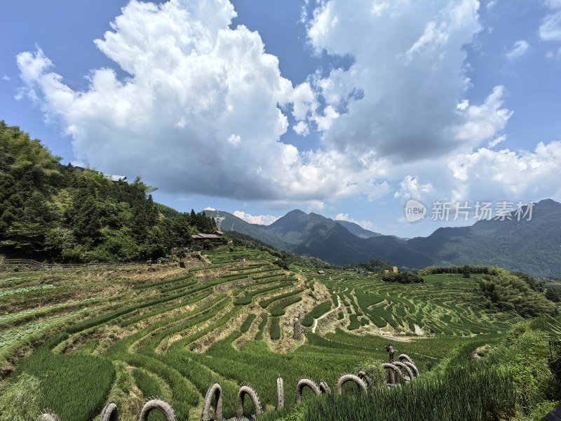 浙江云和梯田景区风景