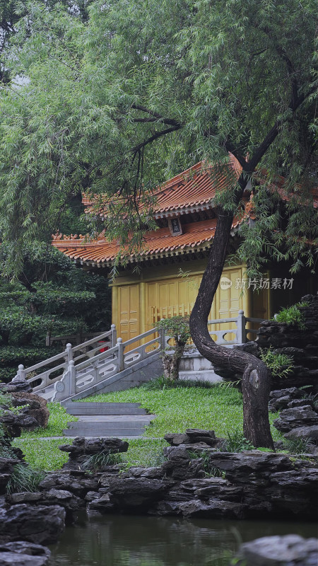 园博园雨天江南园林建筑雨天氛围竖构图