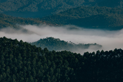 水墨画山水云海山