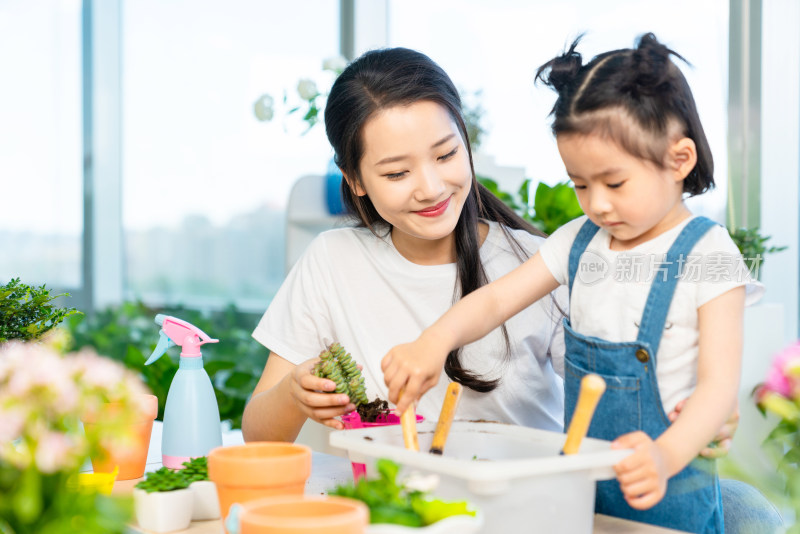 快乐的母女俩在家种植盆栽