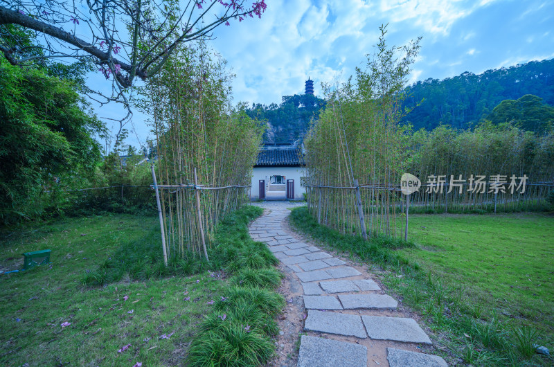 广州南沙蒲洲花园中式传统白色建筑与竹林