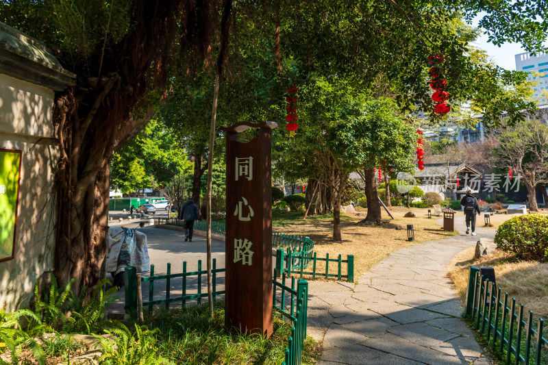 福州春天绿意盎然的冶山春秋公园景色