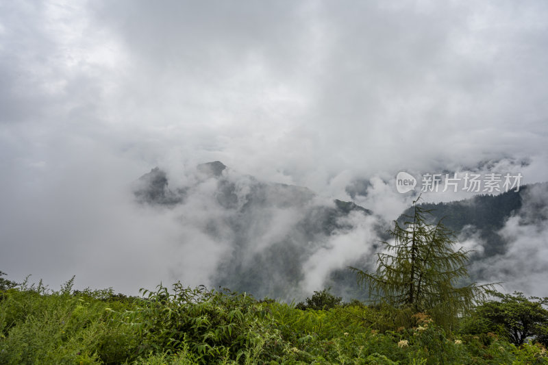 四川四姑娘山双桥沟自然风景