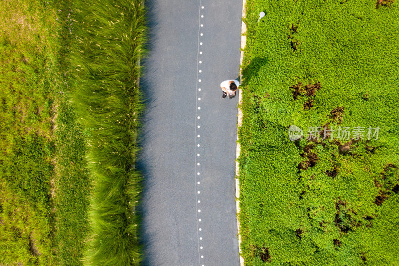 深圳环西丽湖碧道