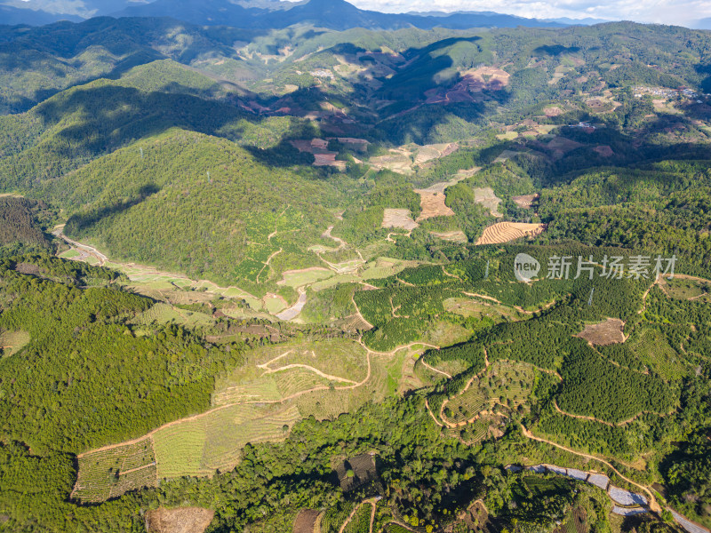 航拍绿意盎然的山脉和层层梯田