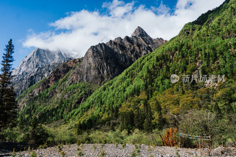 阿坝州四姑娘山长坪沟