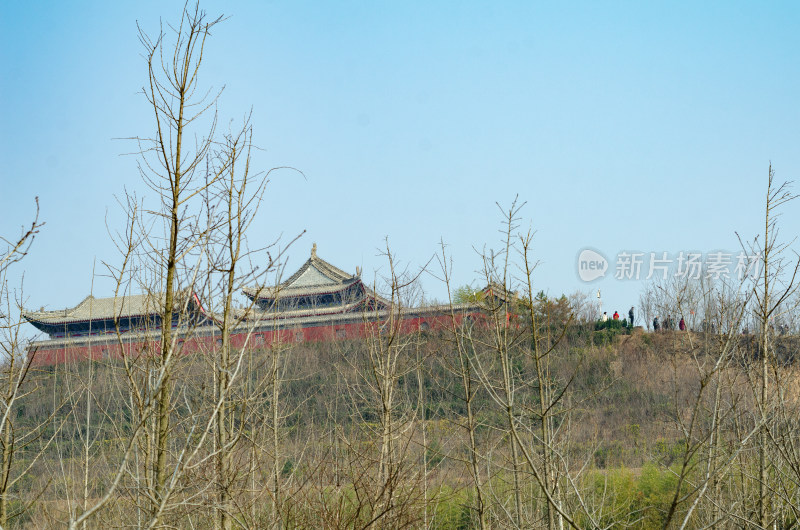 隐藏在树丛中的寺庙