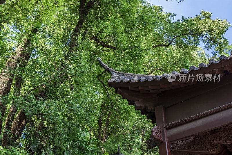 武汉武昌首义公园抱冰堂风景