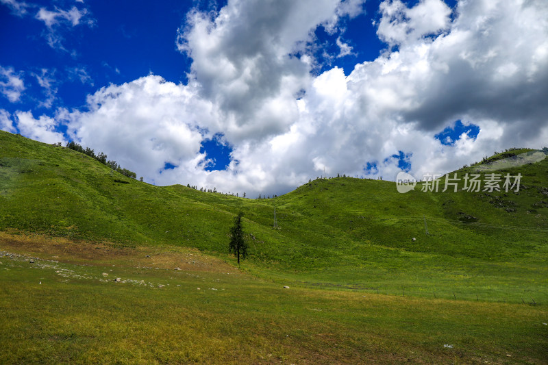 新疆阿勒泰地区喀纳斯森林草原自然风景