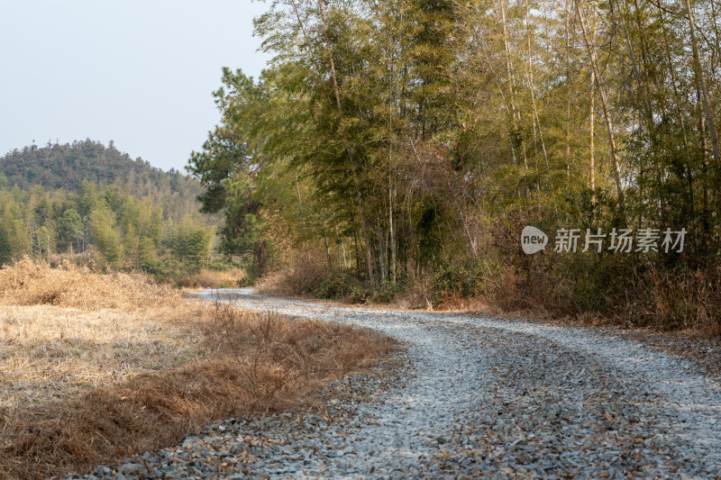 林间碎石小路风景