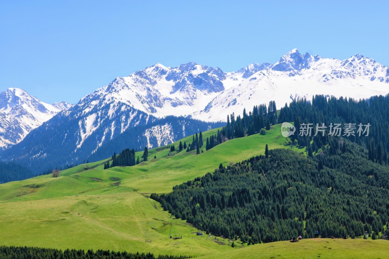 新疆的草原与雪山