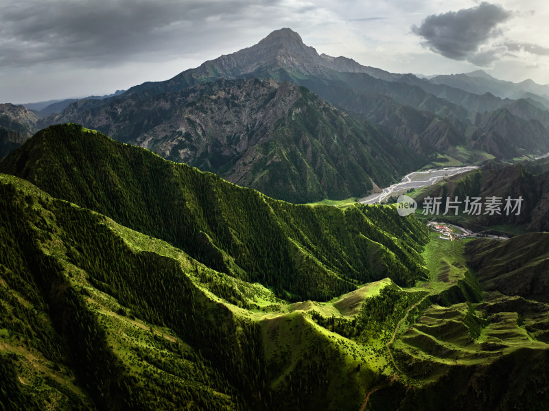 独库公路的高山森林