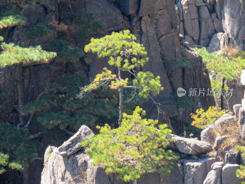 中国安徽黄山旅游风光