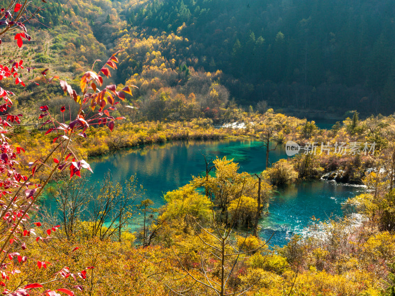 九寨沟秋景