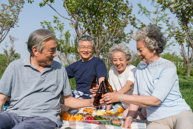 老年夫妻春游野餐