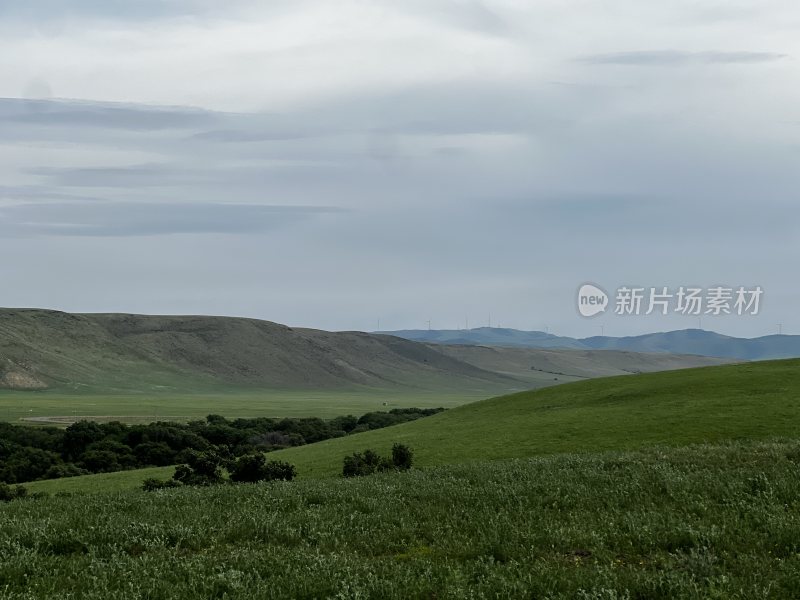 内蒙古乌兰浩特市兴安盟草原