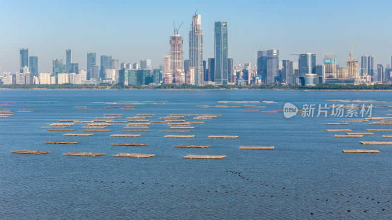 深圳湾超级总部基地