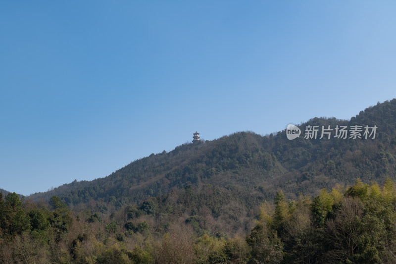 山林中矗立古塔的自然风光全景