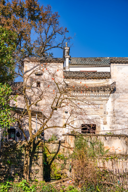 皖南秋色塔川国家森林公园