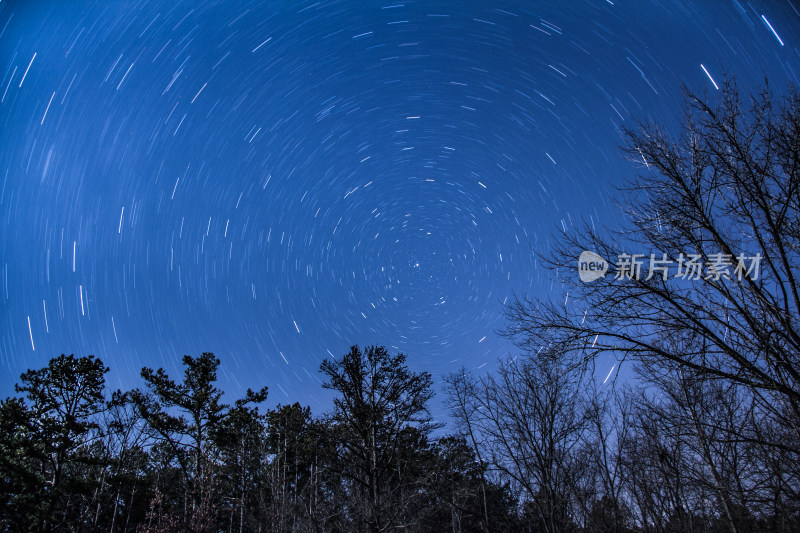 夜晚树林下的星空星轨