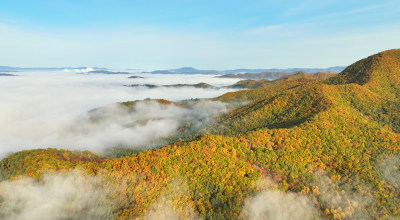 秋季金色山林与云海