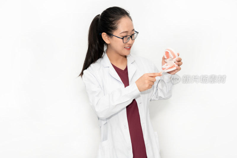 年轻的中国籍女性牙医拿着牙齿模型示范刷牙
